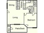 1 Bedrom/ 1 Bath Apartment for Sublet in San Marcos, Texas