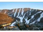 $499 / 2br - WYNDHAM BENTLEY BROOK SPRING/ SUMMER WEEKENDS
