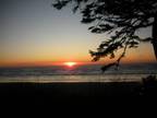 $195 / 3br - 1250ft² - Ocean Views - rest and relax - September Availability