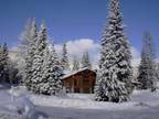 $290 / 4br - 3000ft² - Ski Now in Tamarack Resort ! (Near McCall) (map) 4br
