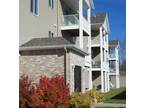 $660 / 2br - 800ft² - Large 2 bedrooms with Washer and Dryer hookups
