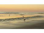 $300 / 5br - Magical Family Beach Houe / Last Minute Special for August (Saint