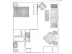 Furnished 1 Bedroom (SE Rockford)