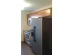 $650 / 1br - 850ft² - Brand new luxury 1 bedroom with Storage Unit.