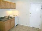 Newly Remodeled Studio (501 E College, Carbondale)