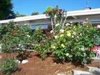 Waterfront*Island Views*Stunning Sunsets*2Bd/1.5Ba (Bellingham) (map)