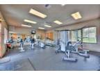 $ / 2br - ft² - Come Home to Comfort for the Holidays (Upper South Hill) (map)