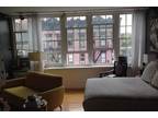 Stylish Greenwich village Studio/Loft