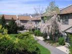 $ / 2br - NEW DOWNTOWN TOWNHOUSE! 2br bedroom