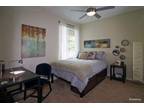 1BR/1BA in Brand New Apartment w/ walk in closet & pool (available march or asap