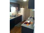$575 / 1br - 630ft² - 1x1 with Fireplace Ready for Move In!