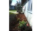 Cute Ground Floor Studio Garden Apt in Best Central Location (Merced