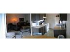 $474 / 1br - 660ft² - 1 Bedroom Apartment