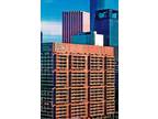 $2700 / 1br - ft² - HIGH-RISE FURNISHED RENTAL- IN THE HEART OF DOWNTOWN