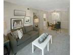 $529 / 1br - SPECIAL PRICES ON NEWLY RENOVATED PRICES! (map) 1br bedroom