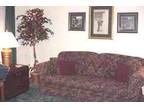 $750 / 2br - 800ft² - Nicely Furnished Convenient Location (1102 N.