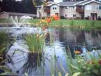 $619 / 2br - Waupaca- Golf View Apartment with 2 bedroom, 2 bath (Waupaca