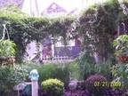 $550 / 1br - Cozy 1 bedroom cottage for rent (Geneva on the Lake) 1br bedroom