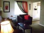$785 / 2br - Large Townhouse Style (Wynantskill) (map) 2br bedroom