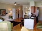 $2650 / 2br - 1201ft² - Furnished 2 bedroom Luxery Apartment (Rice Village/Med