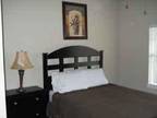$2650 / 2br - 1159ft² - Furnished 2 bedroom 2 bath (Med center/Hermann park)