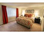 HEAT & HOT WATER! AFFORDABLE and Gorgeous