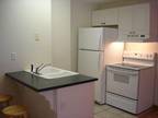 $675 / 1br - One Bedroom Efficiency Apartment (Saratoga Springs) (map) 1br