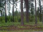Prime Wooded Parcel