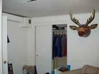 $650 / 2br - 660ft² - Cozy basement with shared fenced yard-bring your pet!