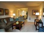$1150 / 1br - 690ft² - You Want It! We've Got It! 1 BR Monterey Pines