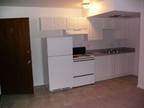 $525 / 1br - Summer sublease 1 bedroom Apt (Downtown Lansing) (map) 1br bedroom