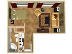 Large Studio Available July 22-Utilities Included