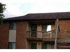 $635 / 2br - Harmony Heights/Park View 2 Bed 1 Bath with Storage Closet