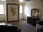 $525 / 1br - Modern Furnished Efficiency (North Scranton) 1br bedroom