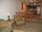$1500 / 4br - 4br/2ba town home avail 8/1/11 (Mankato - MSU) 4br bedroom