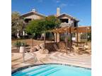 Spring Training Vacation Rental