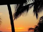 2br - PUERTO VALLARTA or CABO SAN LUCAS