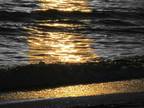 Harborside resorts