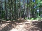Property for Sale - Ossipee
