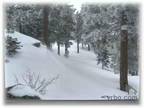 $1250 / 3br - 1300ft² - FURNISHED MOUNTAIN HOME 3BD/2BA HDTV WIFI (South Lake