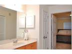$ / 2br - Brand New 2 BR on Huckleberry Trail & Blacksburg Transit Bus line!