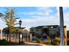 $600 / 2br - 1200ft² - Summer Sublease (Grove Milledgeville, GA) 2br bedroom