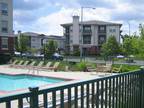 City Place Apartments A2 - Beautiful one bedroom
