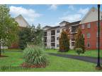 1 Bedroom 1 bath, $1120.00 in Bedroomford