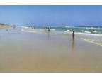 $850 / 2br - 1450ft² - 53 ACRES AT SEA WOODS COMPLEX