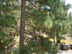 $200 / 3br - 1250ft² - Fresh snowin Tahoe, come up to ski 3br bedroom