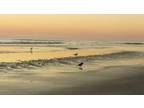$300 / 5br - Great Location ON THE BEACH! Large Family Oceanside Beach House 5br