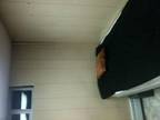 $800 / 2br - 2 bedroom/Private entrance