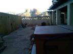 $1200 / 1br - 600ft² - short term furnished rental by the month (sedona) 1br