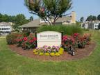 $950 / 2br - 1060ft² - Manager has gone crazy! First full month is free!